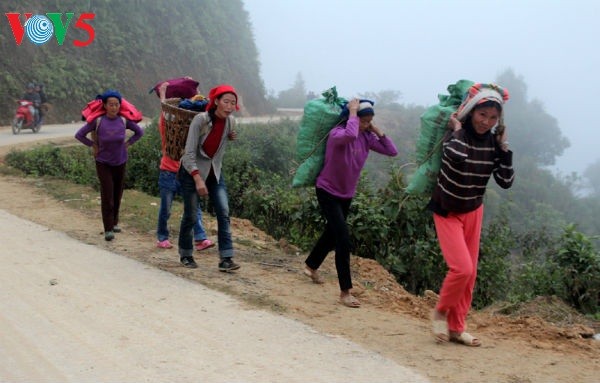 Dao San country fair in spring - ảnh 1